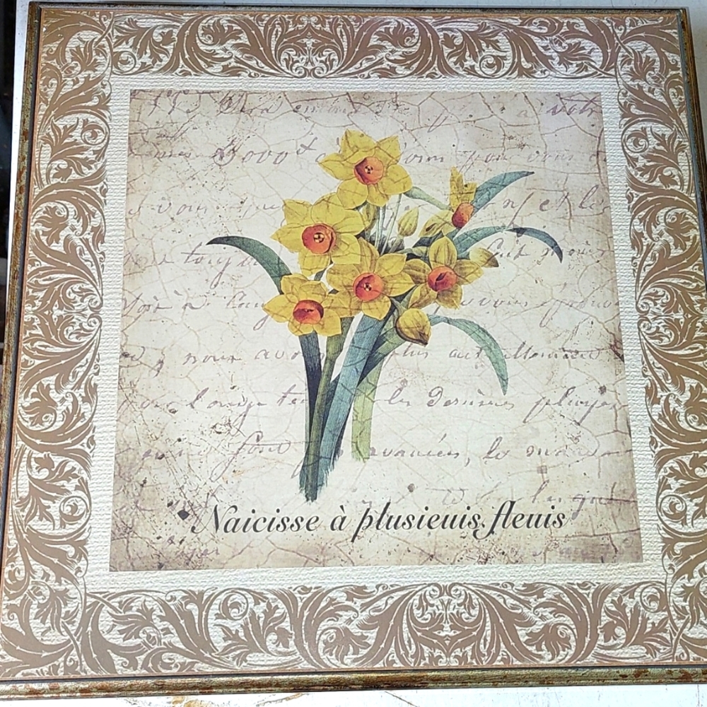 Flower Picture